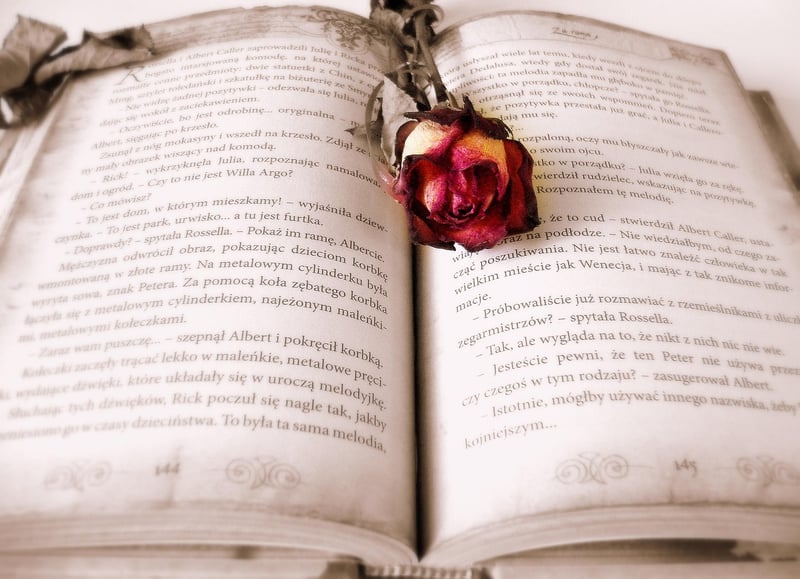 Adventure Book