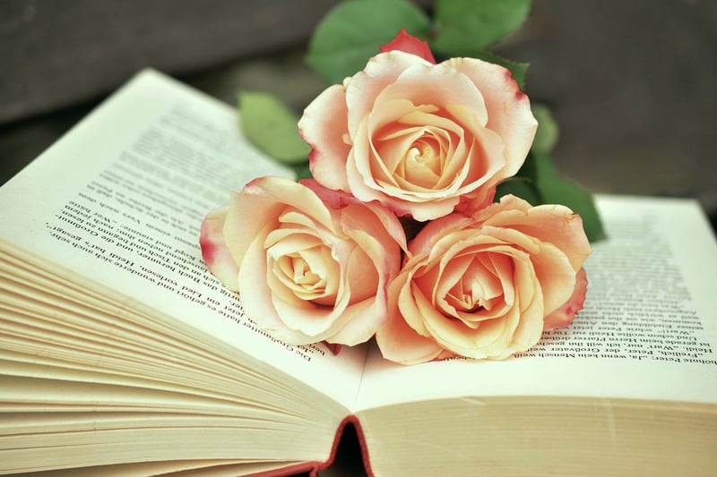 Mystery Books
